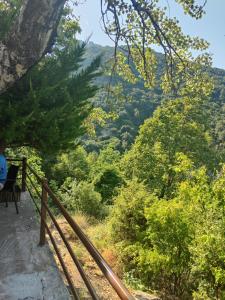a person sitting on a bench overlooking a valley at Καλημέρα Όλυμπε in Litochoro +23 photos