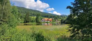 a river with a house in the middle of a forest at Ferienhaus Riegler in Sankt Georgen bei Neumarkt