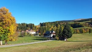 a house in the middle of a field with a road at Ferienhaus Riegler in Sankt Georgen bei Neumarkt +21 photos