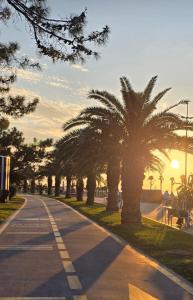 Příroda nedaleko apartmánu + 31 fotografií