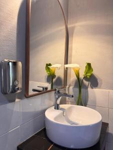 Koupelna v ubytování cabaña de adobe las moras