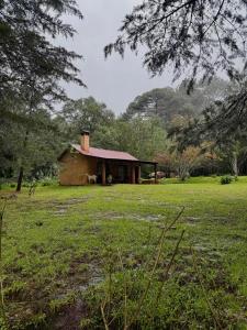 Příroda nedaleko kempu