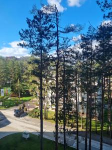 - un balcon avec vue sur un bâtiment arboré dans l'établissement Royal Garden Centar apartmani, à Zlatibor