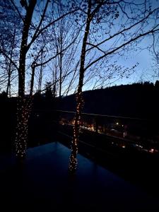 two trees are decorated with christmas lights at night at M Cabin Tree house Predeal Ciubar in Predeal