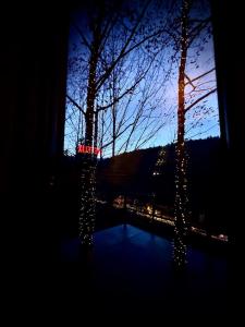 a dark room with a tree and a street light at M Cabin Tree house Predeal Ciubar in Predeal