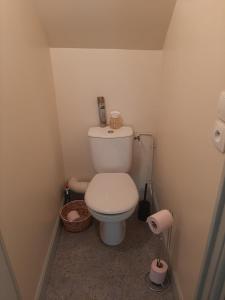 Un baño pequeño con un inodoro blanco en una habitación. en Le Saint Georges, en Chinon 6 fotos más