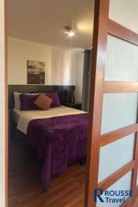 a bedroom with a bed with purple sheets at Rousse 9 Santiago in Santiago