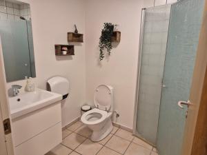 a bathroom with a toilet and a sink and a shower at Værelse til leje 7 in Hørve +6 photos