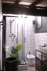 Un baño con ducha y WC y una planta. en Pub house, en Lucca