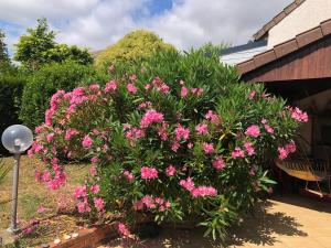 Zahrada ubytování Françoise