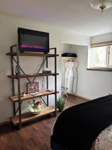 a living room with a television on a shelf at Amazing Views, Northern Lights, Stargazing Entire Guest Suite in Golden, BC Canada in Golden