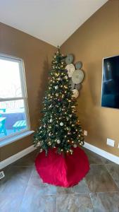 een kerstboom in de hoek van een kamer bij Sunrise, Wildlife & Paddle Boarding Awaits! in Sunrise Beach