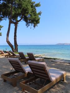 a row of lounge chairs and trees on the beach at Aroma Beach Bungalows in Limenas