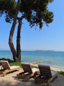 three lounge chairs and a tree on the beach at Aroma Beach Bungalows in Limenas