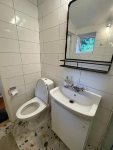 Munka-LjungbyにあるCabin within walking distance of Västersjönのトイレ、洗面台、鏡のあるバスルーム +8枚の写真