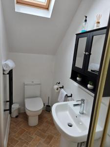 a bathroom with a white toilet and a sink at Farthing Cottage in Norwich +8 photos