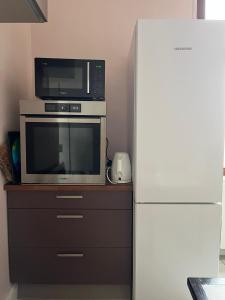 een magnetron bovenop een aanrecht naast een koelkast bij Apparemment de style 70s in Colmar