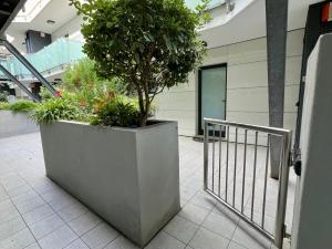 ロアーノにあるPalm Grove Houseの建物の中にある大きなプランターと木 +1枚の写真