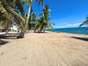 a sandy beach with palm trees and the ocean at ocean view juan dolió in La Puntica de Juan Dolio