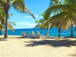 a row of chairs on a beach with palm trees at ocean view juan dolió in La Puntica de Juan Dolio