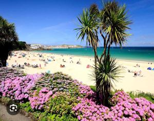 een strand met mensen, palmbomen en roze bloemen bij The garden apartment in St Ives +17 foto's