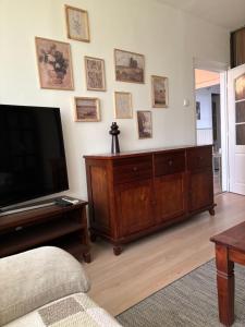 Μια τηλεόραση ή/και κέντρο ψυχαγωγίας στο U žltej mačky +12 φωτογραφίες