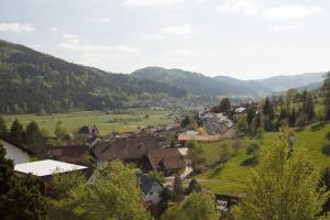 a village in a valley with trees and houses at Sonnenterrasse 9 in Fischerbach