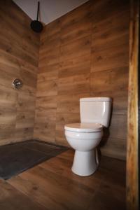 a bathroom with a toilet and wooden walls at Domek Rochowa Buźnica apartament 2 in Zakopane