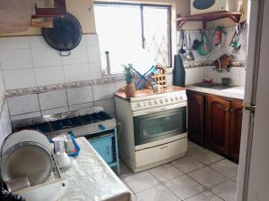 Kuchyň nebo kuchyňský kout v ubytování Ortega'S Guest House + 9 fotografií