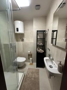 ein Badezimmer mit Waschbecken, Toilette und Dusche in der Unterkunft Comfy Nature Stay in Líšnice