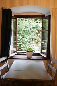 ein Fenster mit einer Topfpflanze auf einem Tisch in der Unterkunft Comfy Nature Stay in Líšnice + 12 Fotos