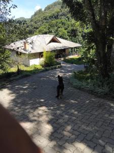 a black dog standing in the middle of a driveway at Xixo Casa do Vale Descanso e Natureza Em Gramado in Gramado