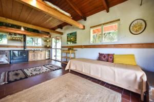 uma sala de estar com um sofá e um fogão em La Collina dei Ciliegi em Pecetto