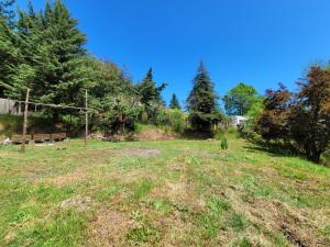 an empty field with a bench and trees at Espacio Verde in Juan Chico