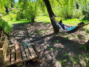 a person laying in a hammock under a tree at Espacio Verde in Juan Chico +14 photos