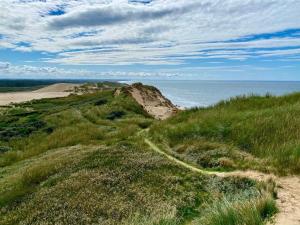 a path on a hill next to the ocean at 4 person holiday home in Løkken in Løkken +17 photos