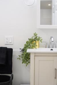 a bathroom with a sink and a green plant at 20 Mins to Times Sq. EWR | Cozy Apartment | Sleeps 4 in Jersey City