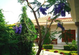 un árbol con flores púrpuras delante de una casa en Hotel El Portón en Tenancingo de Degollado