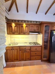 een keuken met houten kasten, een wastafel en een koelkast bij Apartamento Colonial in Estación El Salto +4 foto's