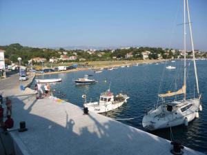a group of boats are docked at a marina at Apartments in Lopar - Insel Rab 26467 in Lopar