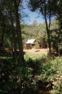 a cabin in the middle of a forest with trees at Tiny House in San Mateo Río Hondo