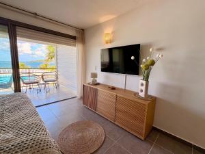 Μια τηλεόραση ή/και κέντρο ψυχαγωγίας στο New Superbe loft Papaye sur la mer des caraibes