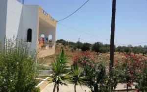 Κήπος έξω από το Alia Suites and Spa