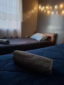 1 Schlafzimmer mit 2 Betten und einem Fenster mit Beleuchtung in der Unterkunft Tierra Viva Solor Cabañas in Sólor