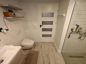 een badkamer met toilet, wastafel en douche bij Dom na Kasztanowej in Augustów