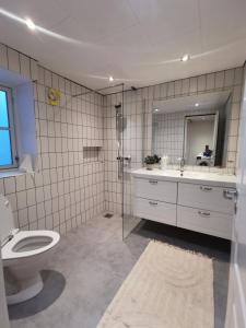 a bathroom with a toilet and a sink and a mirror at Seperat lejlighed i stueetage in Sisimiut