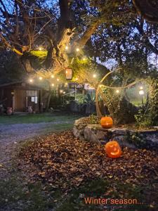 a garden with pumpkins under a tree at night at Agriturismo grecinella in Casole dʼElsa