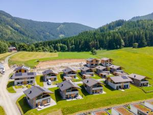 eine Luftansicht eines Heims in den Bergen in der Unterkunft Grebenzen Lodge Starnberg 60A in Sankt Lambrecht