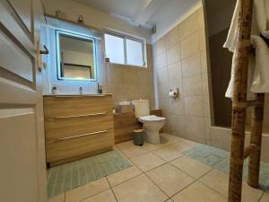 a bathroom with a toilet and a sink and a mirror at Hinahei in Papeete