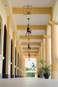 Φωτογραφία από το άλμπουμ του Hotel & Brunch Lirio de los Valles σε Flores